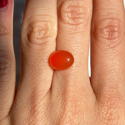 BESPOKE 3.86CT CARNELIAN CABOCHON